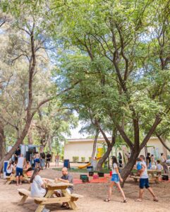 תמונת גלריה מהעסק חנושה | מקור: פרסומי חנושה ברשת