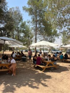 אזורי הישיבה | צילום: אינתה עגלת קפה