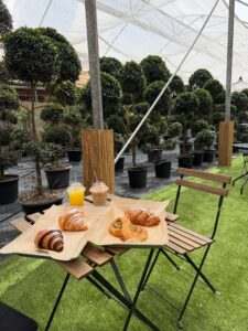 תמונת גלריה מהעסק קפה נגה Noga cafe | מקור: פרסומי קפה נגה Noga cafe ברשת