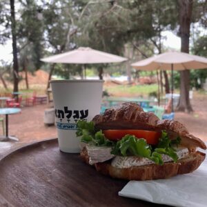 תמונת גלריה מהעסק עגלתא | מקור: פרסומי עגלתא ברשת