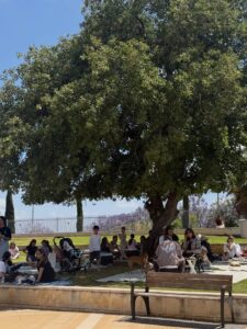 תמונת גלריה מהעסק ברוש עגלה במושבה | מקור: פרסומי ברוש עגלה במושבה ברשת