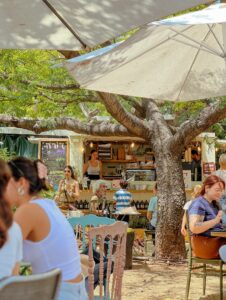 תמונת גלריה מהעסק קפה דורה | מקור: פרסומי קפה דורה ברשת