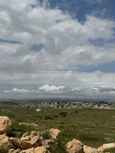 תמונת גלריה מהעסק דרימיה – Drimia | מקור: פרסומי דרימיה – Drimia ברשת