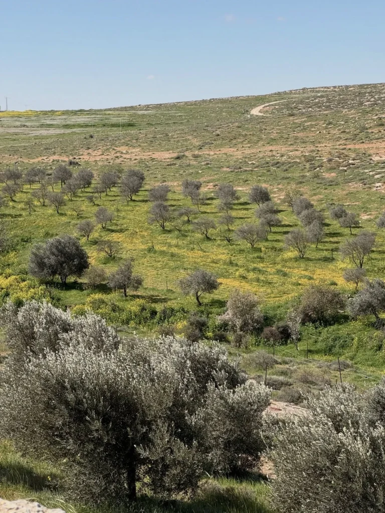 הנוף באזור היקב | צילום: יח"צ