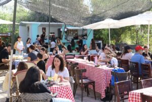 תמונת גלריה מהעסק החצר של נוני | מקור: פרסומי החצר של נוני ברשת