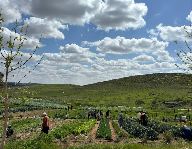 תמונת שער של רישום