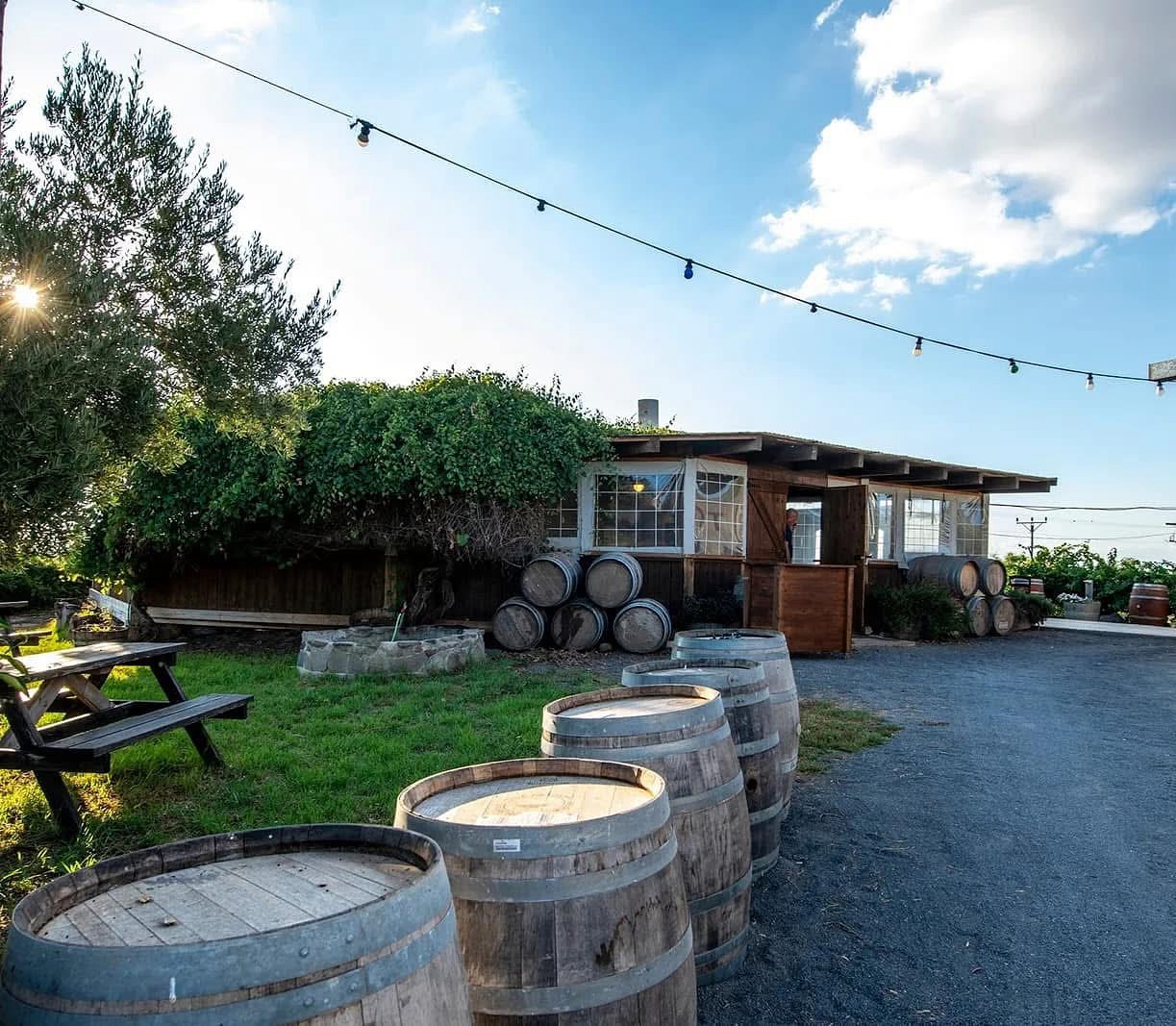 תמונת גלריה מהעסק טרה נובה – TERRANOVA WINERY | מקור: פרסומי טרה נובה – TERRANOVA WINERY ברשת