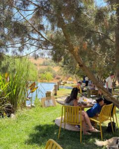 הנוף מהישיבה במקום משקיף על בריכת הדגים | קרדיט צילום: הגר גבאי