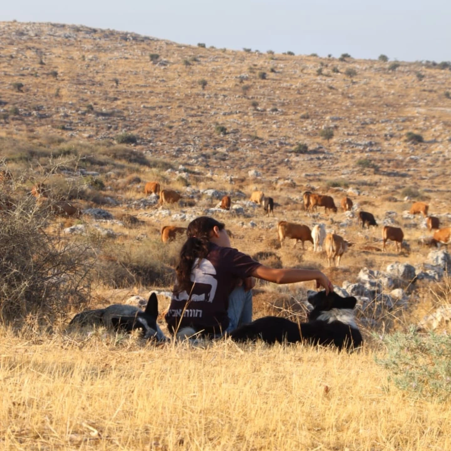 תמונת שער של רישום